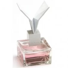 X-Ray Profumo Plastique